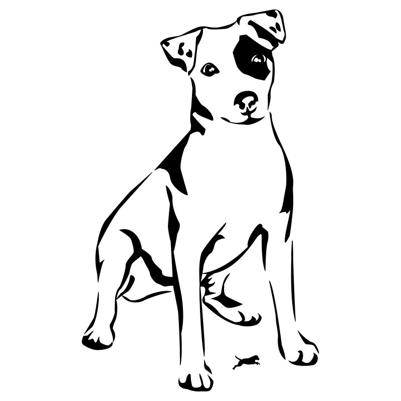 Jack Russel