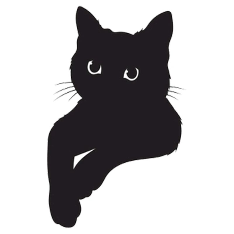 Pose de chat noir