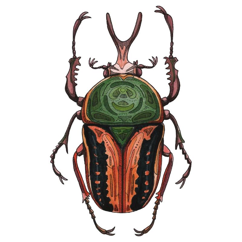 Big Beetle Stag - cerf géant