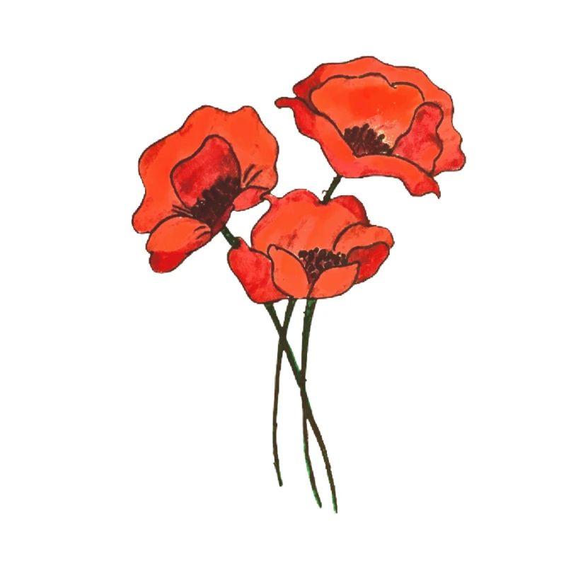 Trio de amapolas