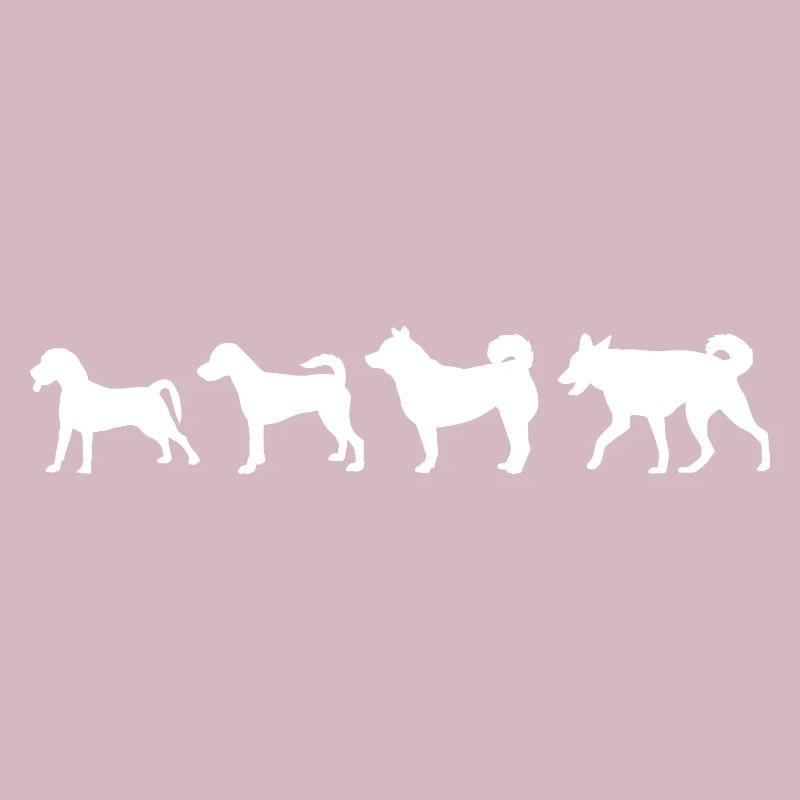 Évolution du chien