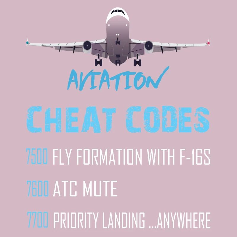 Aviation Cheat Codes