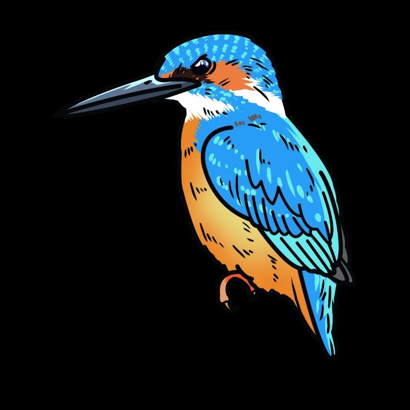 Martin-pêcheur Oiseau de l’année Martin-pêcheur