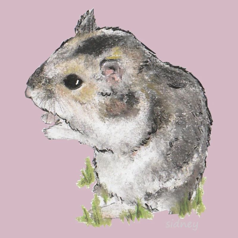 Wester Hamster