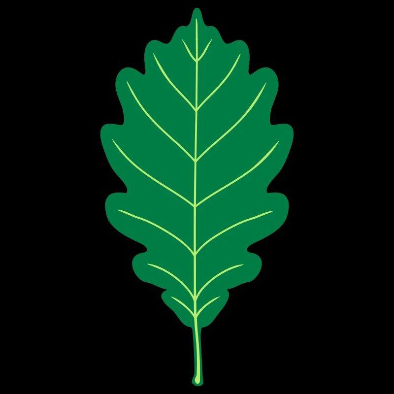 Oak Leaf