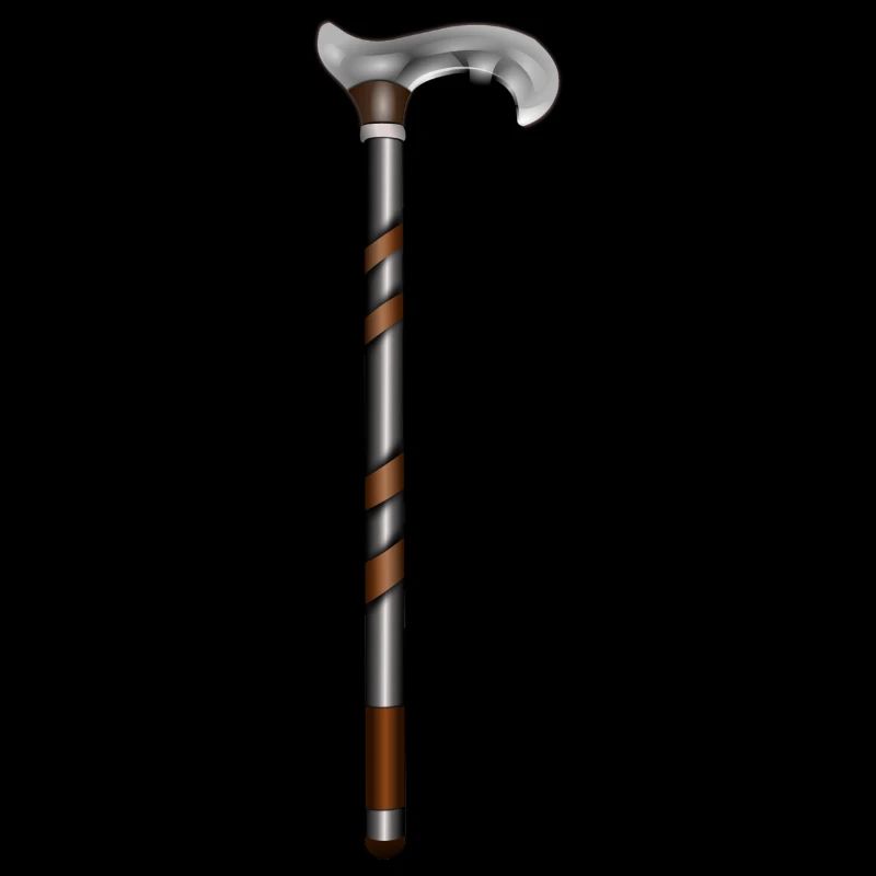 walking stick
