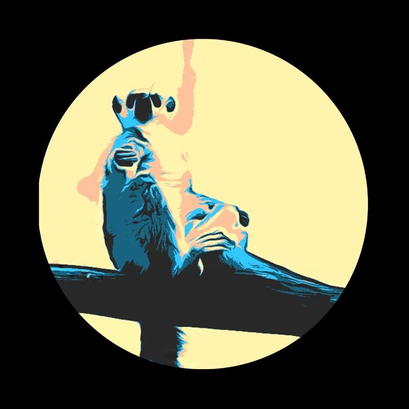 chilling Katta - retro - Lemur - Affe - Halbaffe -