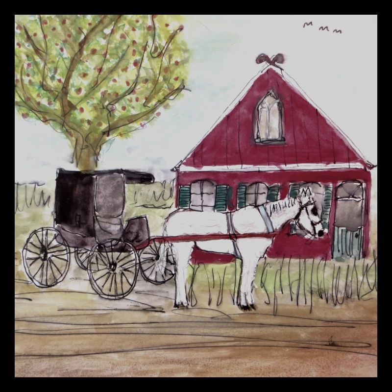 AMISH