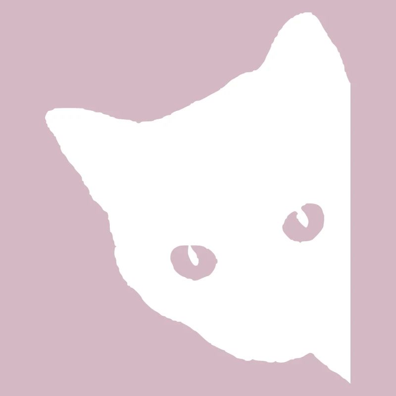 Visage de chat blanc