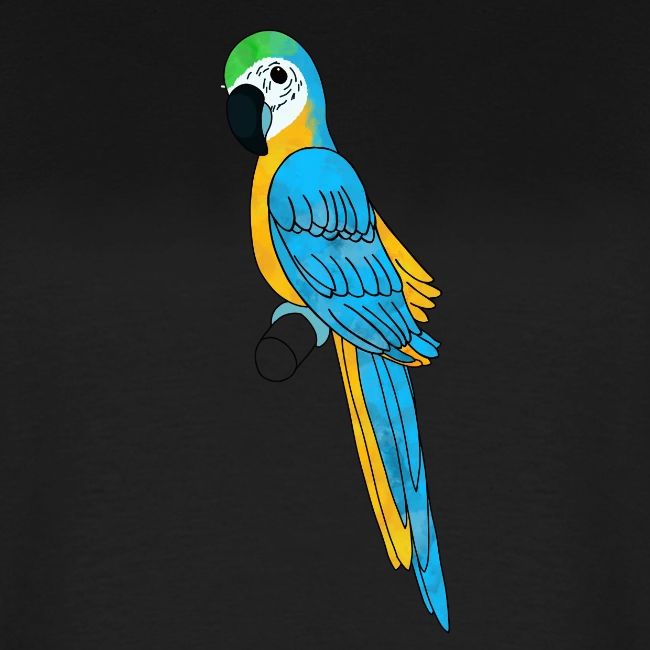 blau gelber Papagei