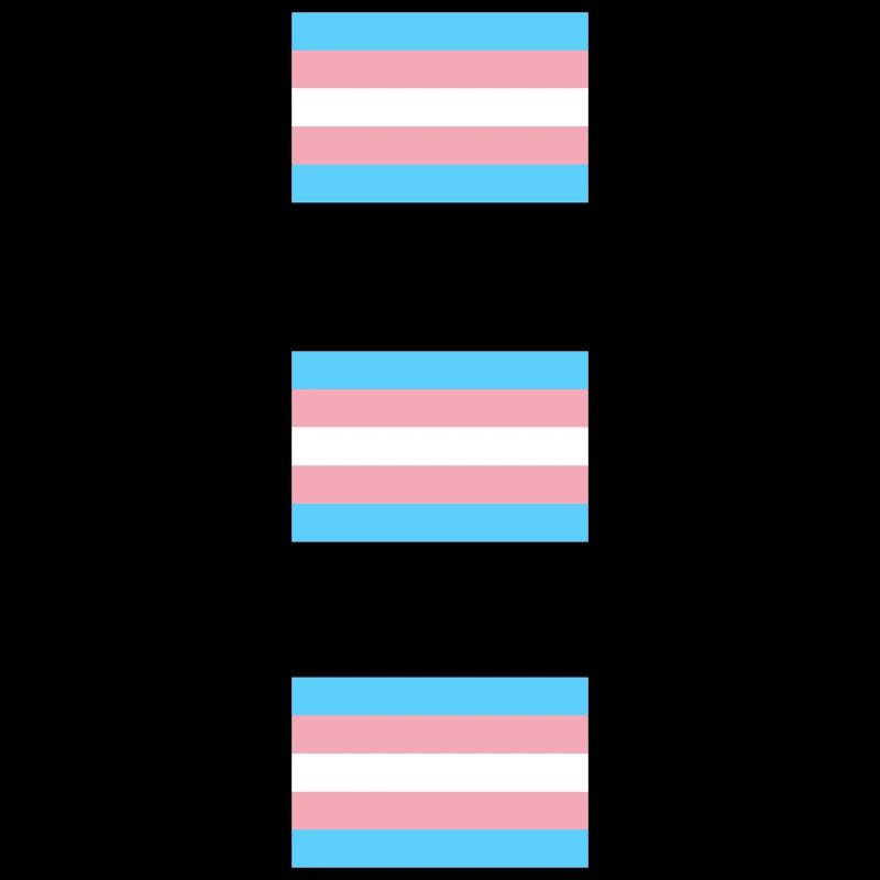 Drapeaux de la Fierté Trans