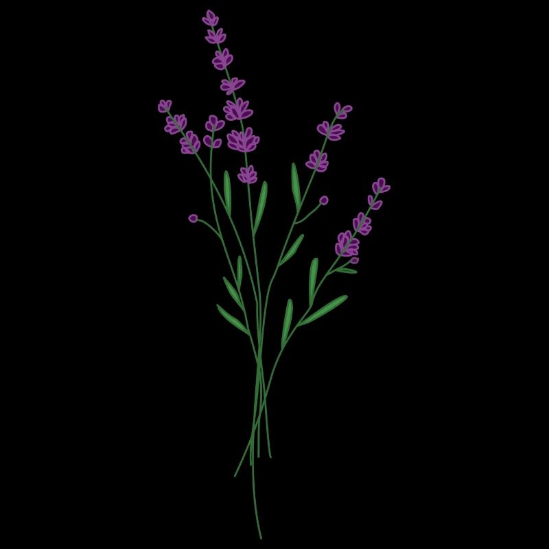 Lavendel