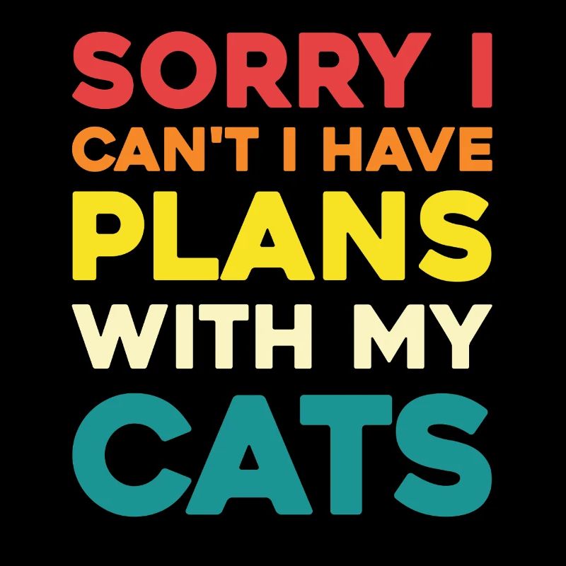 Pas de plans sans chats