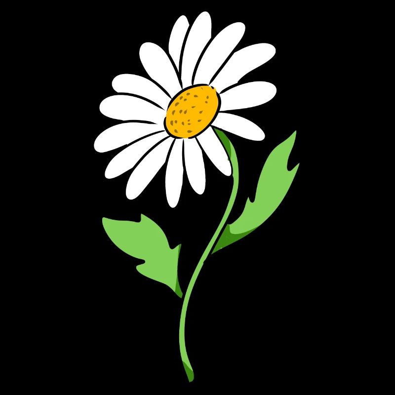 Gänseblümchen