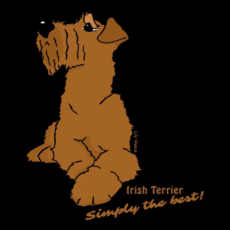 Irish Terrier liegend