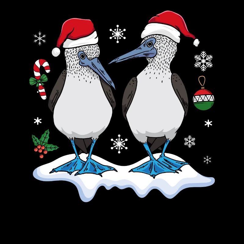 Christmas Blue-footed Booby