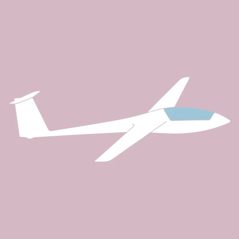 Ls3a glider glider pilot