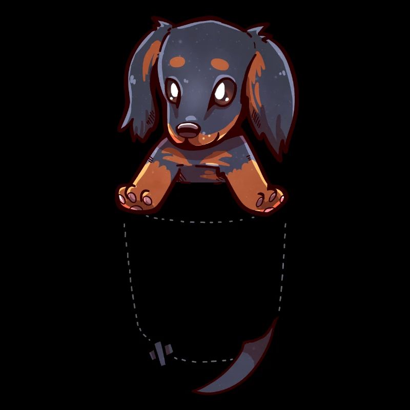 Chien chiot teckel mignon de poche