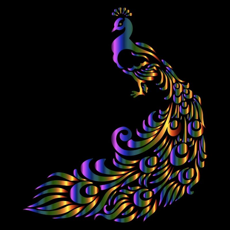 Pfau bunt