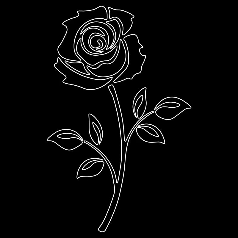 White Rose