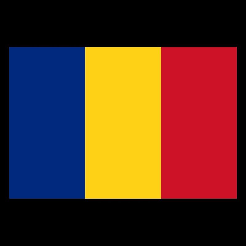 DRAPEAU DE ROUMANIE