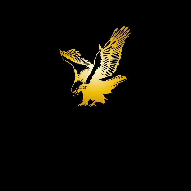 Eagle Golden Eagle Osprey aigle rapace