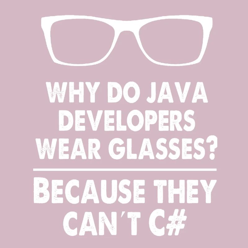 Developer Java