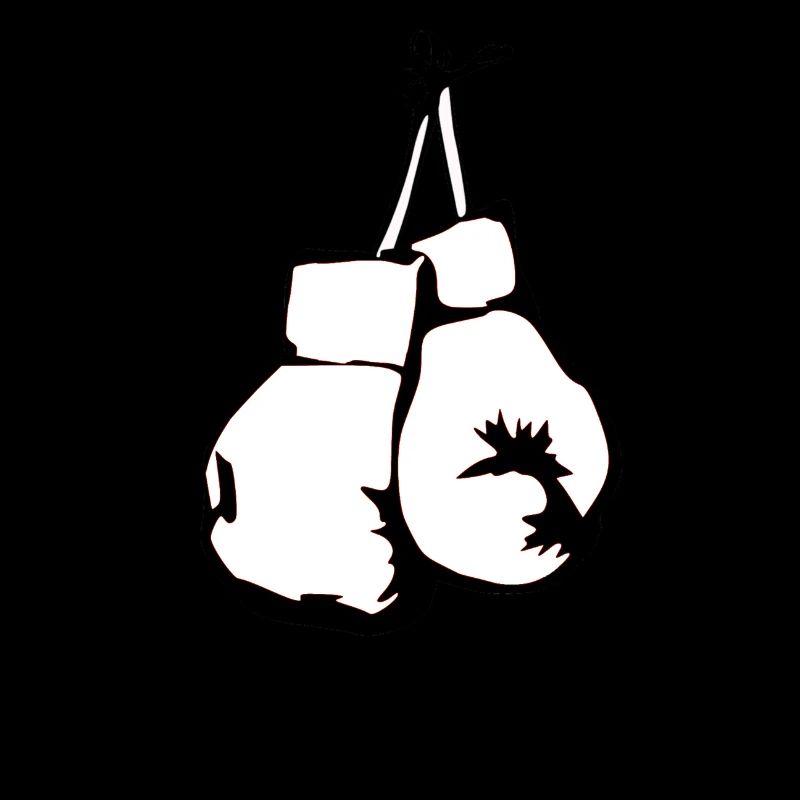 Gants de boxe