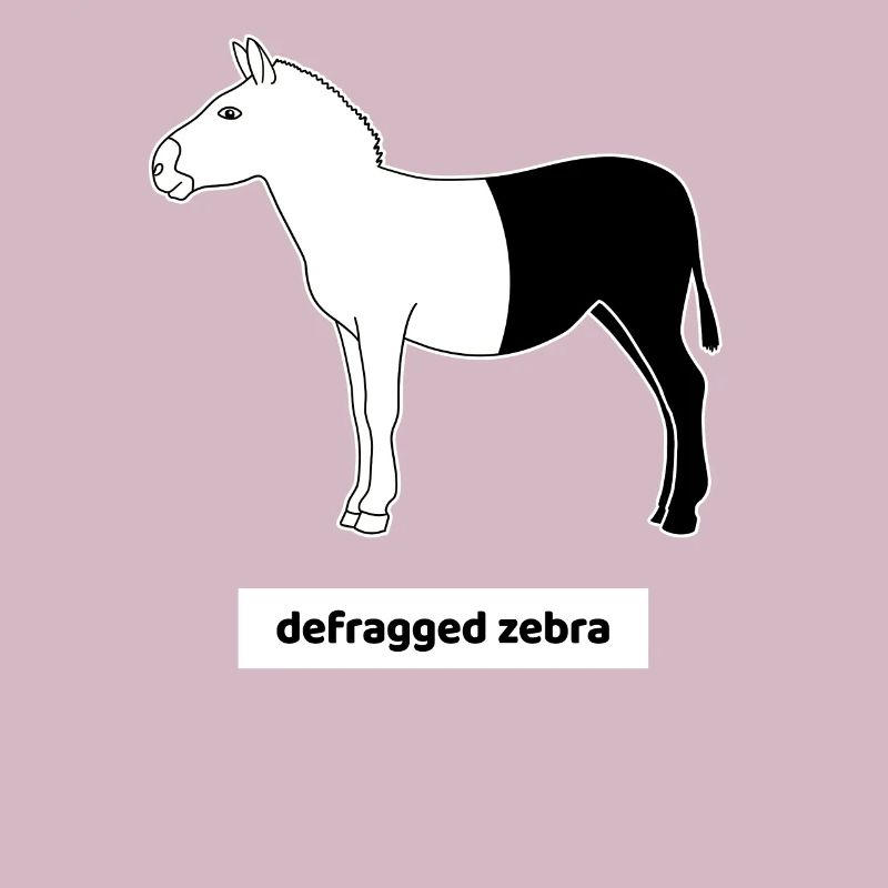 Informatiker Computer Rechner Humor Zebra Defrag