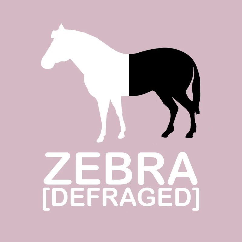 Zebra [defraged] | IT | Computer | Nerd | Geek