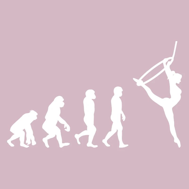 Aerial Hoop Lyra Zirkus Akrobatik Evolution