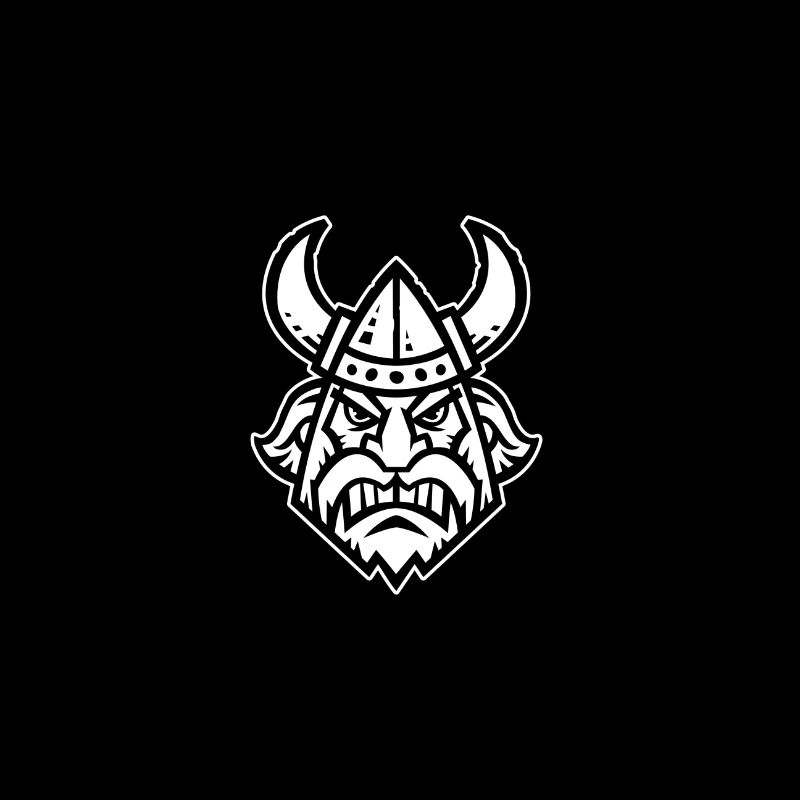 Viking - Wikinger - Norseman