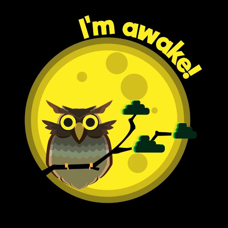 Owl Moonlight Overturned Night Sleeping Gift