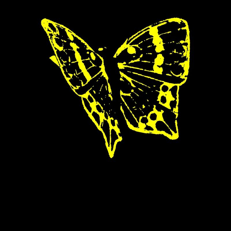 papillon, papillon