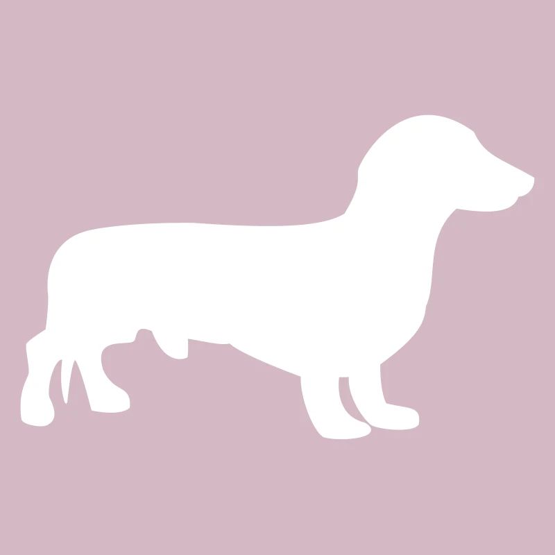 Dachshund