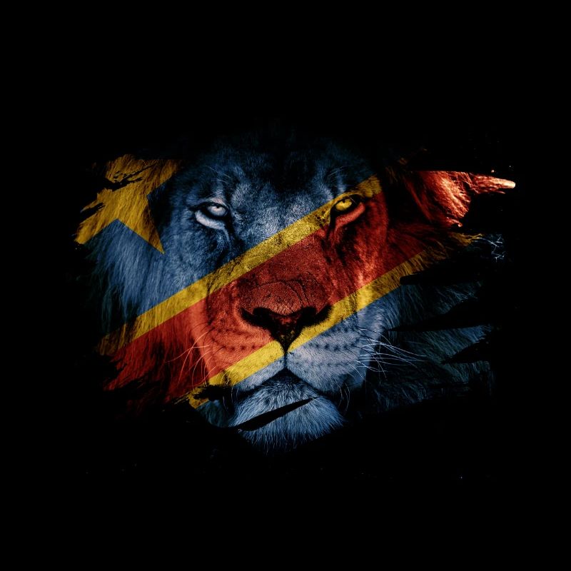 Drapeau de la RD Congo et photo de lion d'Afrique