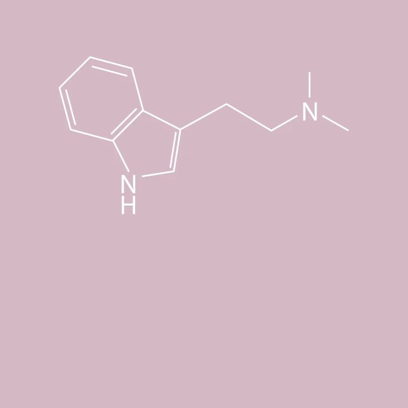 Molécule DMT Ayahuasca Dimethyltryptamine