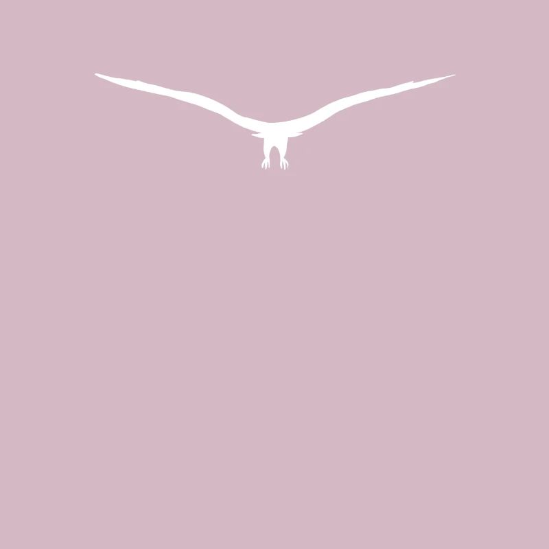 Eagle buzzard or hawk silhouette approaching