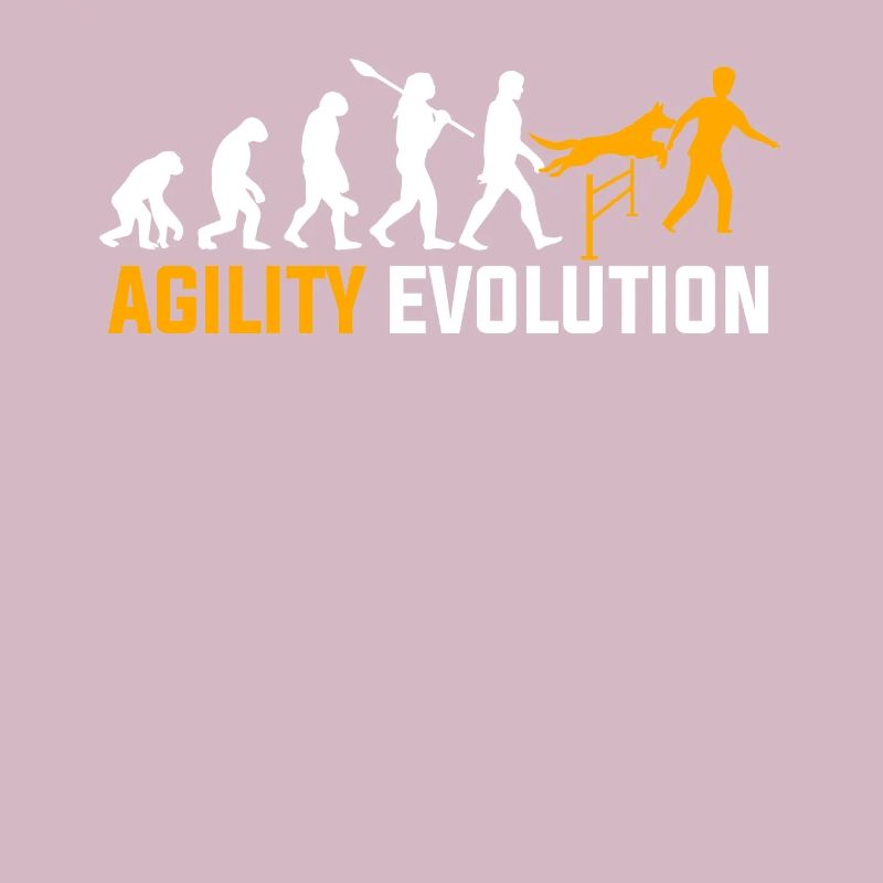 Agility Evolution