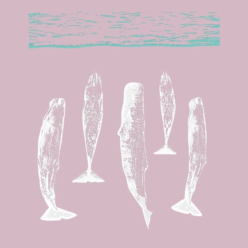 spermwhale plain white