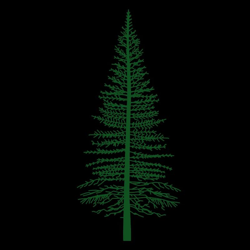 Fir forest tree wilderness nature wood