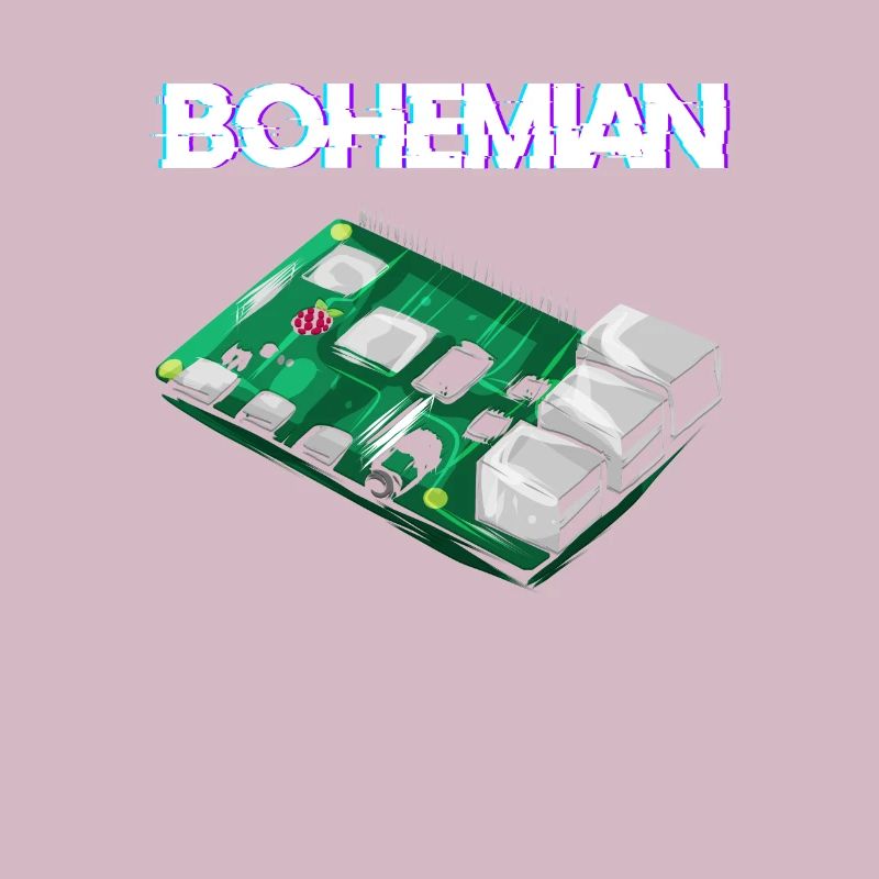 Programmeur informaticien Bohemian Raspberry Pi