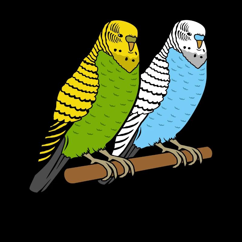 Budgies