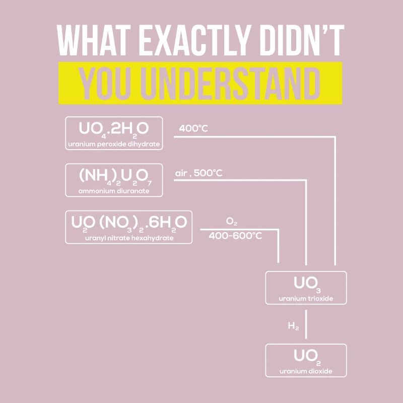 Nuclear Engineering Nuclear Nuclear Professor