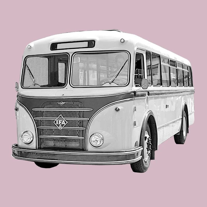 Bus IFA H6B Werdau DDR Oldtimer Ostalgie