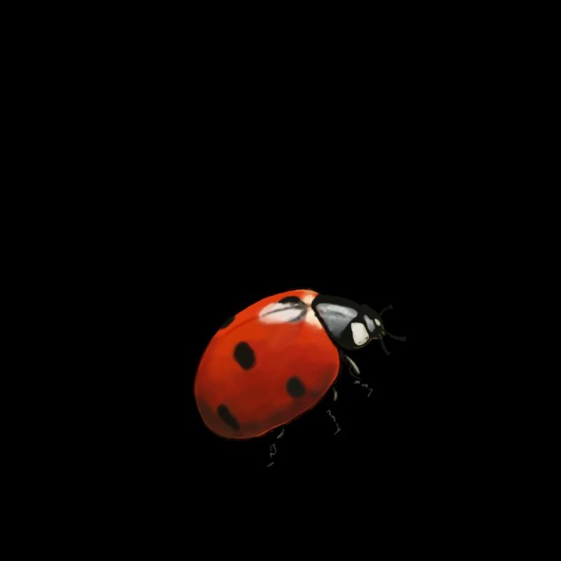 Toujours un autre bug