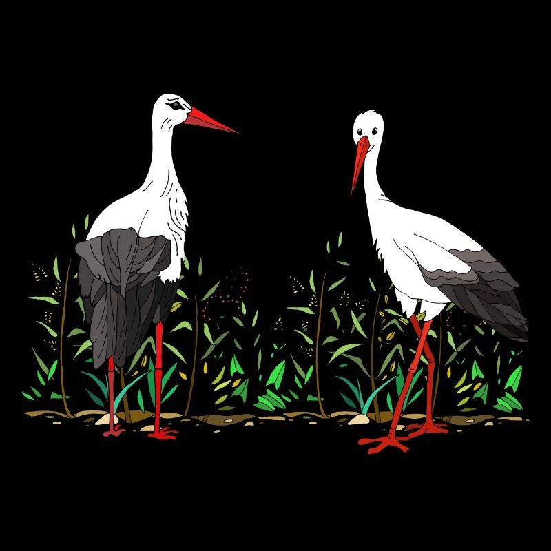 Cigognes