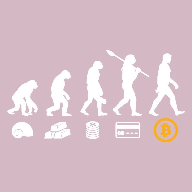 Bitcoin Geld Evolution