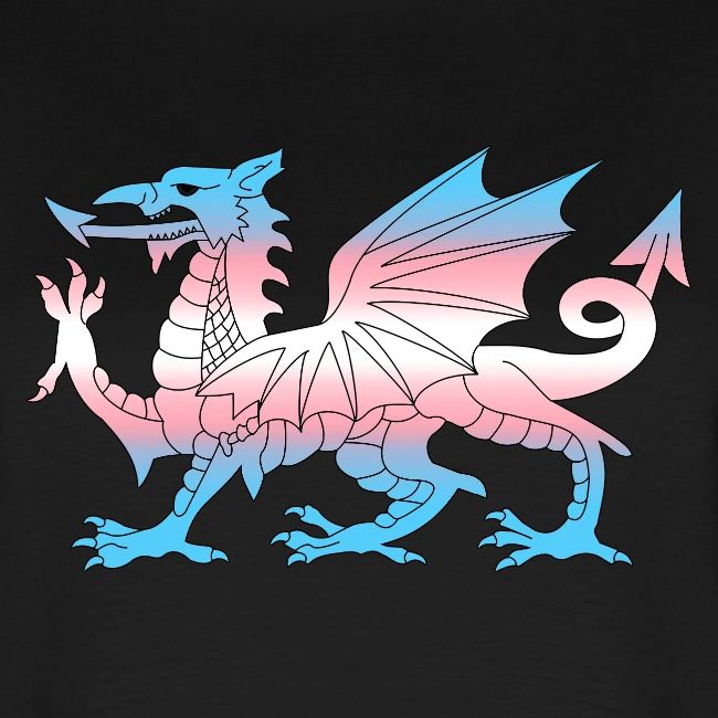 Wales Trans Flag, Baner Trans Cymru, Transgender