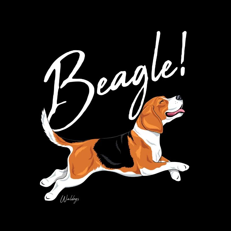 Beagle!